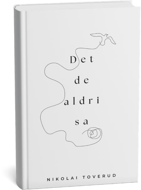 Det de aldri sa